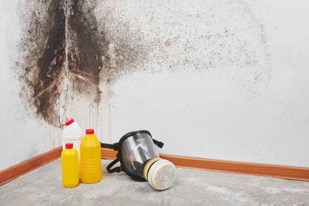 Best Commercial Mold Removal  in Rancho Laveras, CA