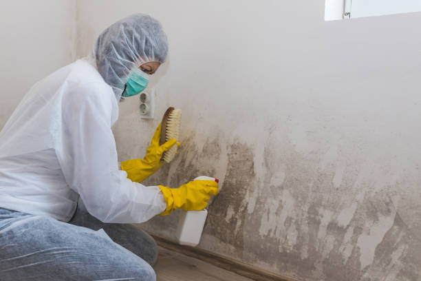 Best Mold Removal Near Me  in Rancho Laveras, CA