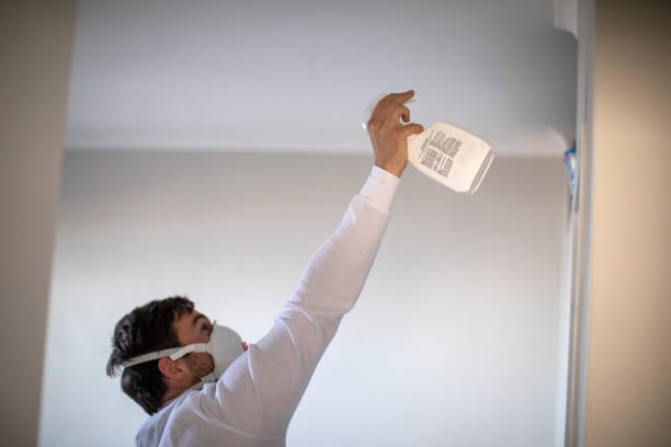 Best Same-Day Mold Removal  in Rancho Laveras, CA