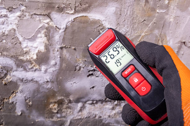 Best Best Mold Removal Companies  in Rancho Laveras, CA