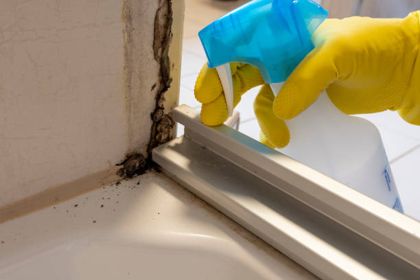 Best Emergency Mold Removal  in Rancho Laveras, CA