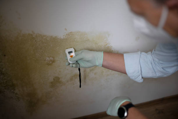 Best Fast Mold Removal  in Rancho Laveras, CA