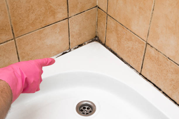 Best Toxic Mold Removal  in Rancho Laveras, CA